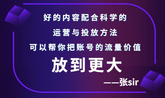 【副业项目3305期】（怎么投dou+快速涨粉）张sir账号流量增长课，让你的流量更精准-佐帆副业网