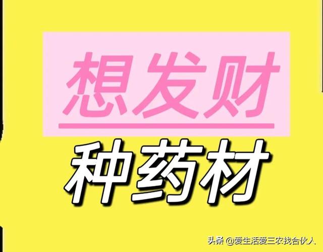 农村种植什么利润高（种什么药材最赚钱农村2022年）-佐帆副业网