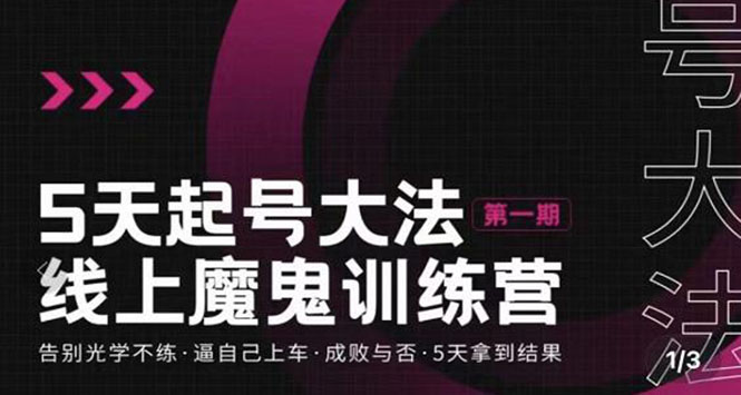 【副业项目3626期】五天起号魔鬼训练营，告别光学不练，逼自己上车，成败与否，5天拿到结果-佐帆副业网