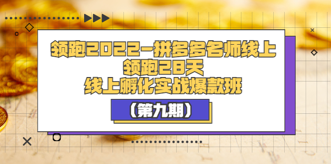 【副业项目3821期】拼多多名师线上领跑28天，拼多多线上孵化实操爆款班（第九期）-佐帆副业网