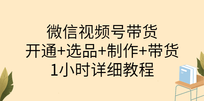 【副业项目3940期】陈奶爸·微信视频号带货：开通+选品+制作+带货（1小时详细教程）-佐帆副业网