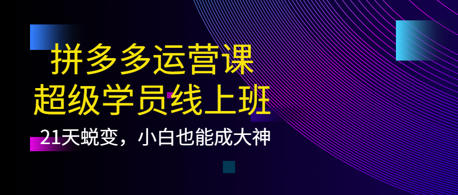 【副业项目4260期】拼多多运营课：超级学员线上班，21天蜕变，小白也能成大神-佐帆副业网