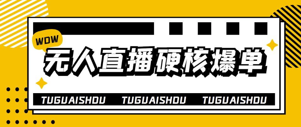 【副业项目4299期】大飞无人直播硬核爆单技术，轻松玩转无人直播，暴利躺赚-佐帆副业网