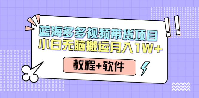 【副业项目4612期】人人都能操作的蓝海多多视频带货项目 小白无脑搬运月入10000+（教程+软件）-佐帆副业网