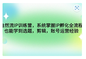 【副业项目4920期】自然流IP训练营，系统掌握IP孵化全流程，也能学到选题，剪辑，账号运营经验-佐帆副业网