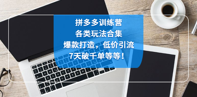 【副业项目4925期】拼多多训练营：各玩法合集，爆款打造，低价引流，7天破千单等等-佐帆副业网