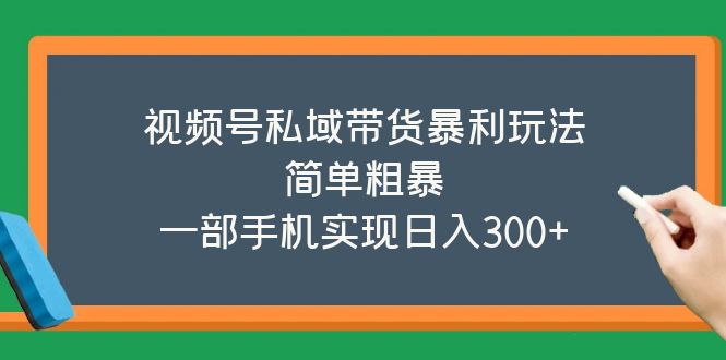 【副业项目5627期】视频号私域带货暴利玩法，简单粗暴，一部手机实现日入300+-佐帆副业网