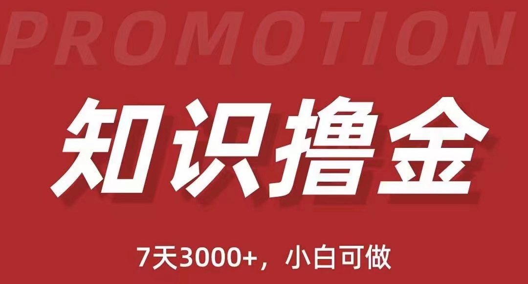 【副业项目5702期】抖音知识撸金项目：简单粗暴日入1000+执行力强当天见收益(教程+资料)-佐帆副业网