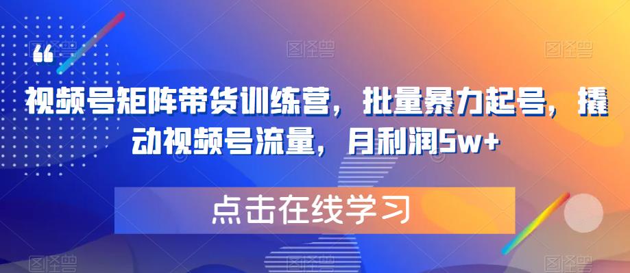 【副业项目6254期】视频号矩阵带货训练营，批量暴力起号，撬动视频号流量，月利润5w+-佐帆副业网