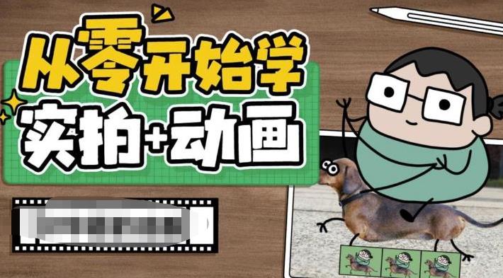 【副业项目6738期】从零开始学实拍加动画，实拍加动画创意教程（49节视频课）-佐帆副业网