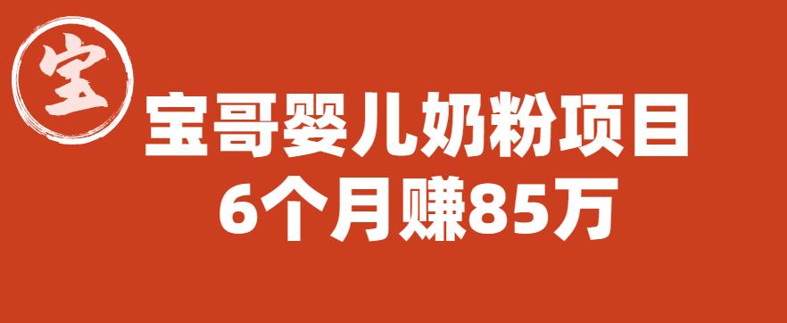 【副业项目6416期】宝哥婴儿奶粉项目，6个月赚85w【图文非视频】【揭秘】-佐帆副业网