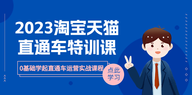 【副业项目6489期】2023淘宝·天猫直通车评特训课，0基础学起直通车运营实战课程（8节课时）-佐帆副业网