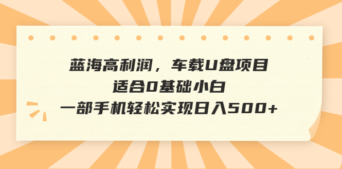 【副业项目6800期】蓝海高利润，车载U盘项目，适合0基础小白，一部手机轻松实现日入500+-佐帆副业网