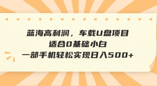 【副业项目6781期】蓝海高利润，车载U盘项目，适合0基础小白，一部手机轻松实现一天500+-佐帆副业网