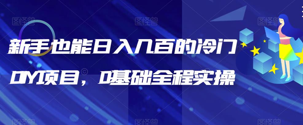 【副业项目6865期】新手也能日入几百的冷门DIY项目，0基础全程实操【揭秘】-佐帆副业网