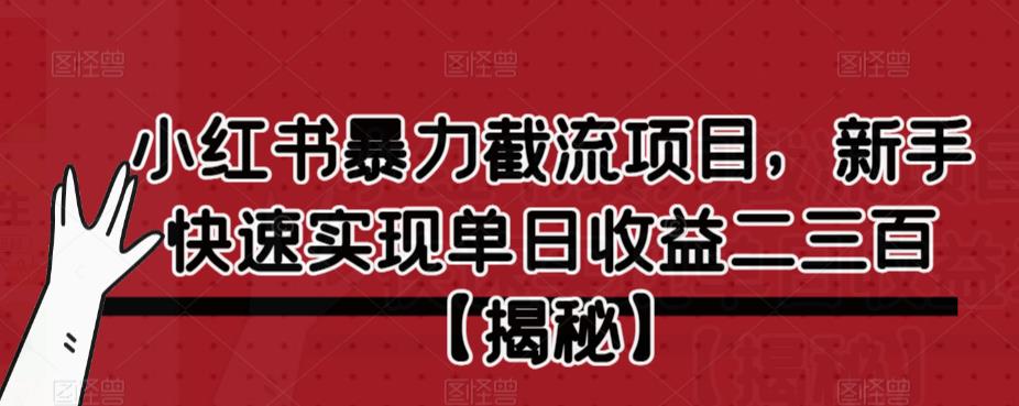 【副业项目6889期】小红书暴力截流项目，新手快速实现单日收益二三百【仅揭秘】-佐帆副业网