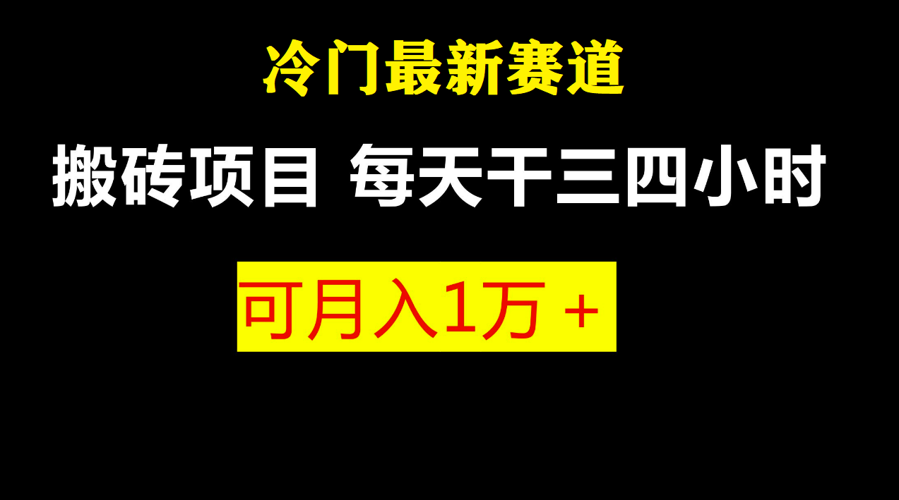 【副业项目6944期】最新冷门游戏搬砖项目，零基础也能玩（附教程+软件）-佐帆副业网