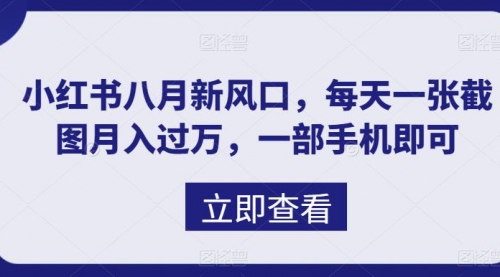 【副业项目7078期】八月新风口，小红书虚拟项目一天收入1000+-佐帆副业网