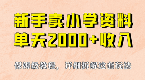 【副业项目7100期】卖小学资料，实现单天2000+，实操项目，保姆级教程+资料+工具-佐帆副业网