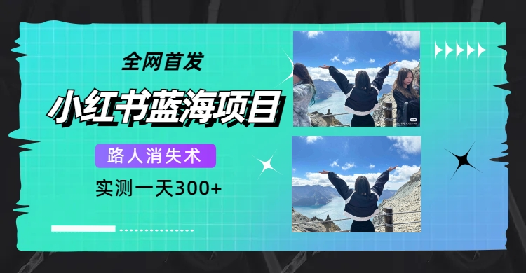 【副业项目7750期】全网首发，小红书蓝海项目，路人消失术，实测一天300+（教程+工具）-佐帆副业网