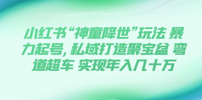 【副业项目7983期】小红书“神童降世”玩法 暴力起号,私域打造聚宝盆-佐帆副业网