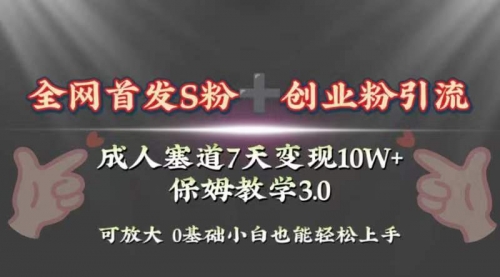 【副业项目8506期】成人用品赛道7天变现10w+保姆教学3.0-佐帆副业网