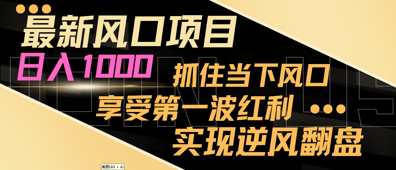 【副业8650期】最新风口项目，日入过千，抓住当下风口，享受第一波红利，实现逆风翻盘-佐帆副业网