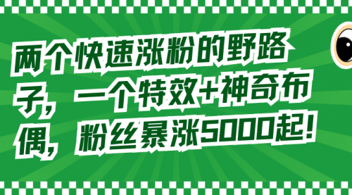 【副业8723期】两个快速涨粉的野路子，一个特效+神奇布偶，粉丝暴涨5000起！-佐帆副业网