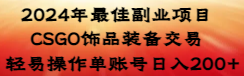 【副业8982期】2024年最佳副业项目 CSGO饰品装备交易 轻易操作单账号日入200+-佐帆副业网