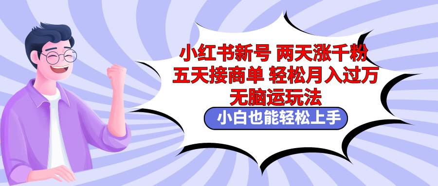 小红书新号两天涨千粉五天接商单轻松月入过万 无脑搬运玩法 小白也能轻…-佐帆副业网