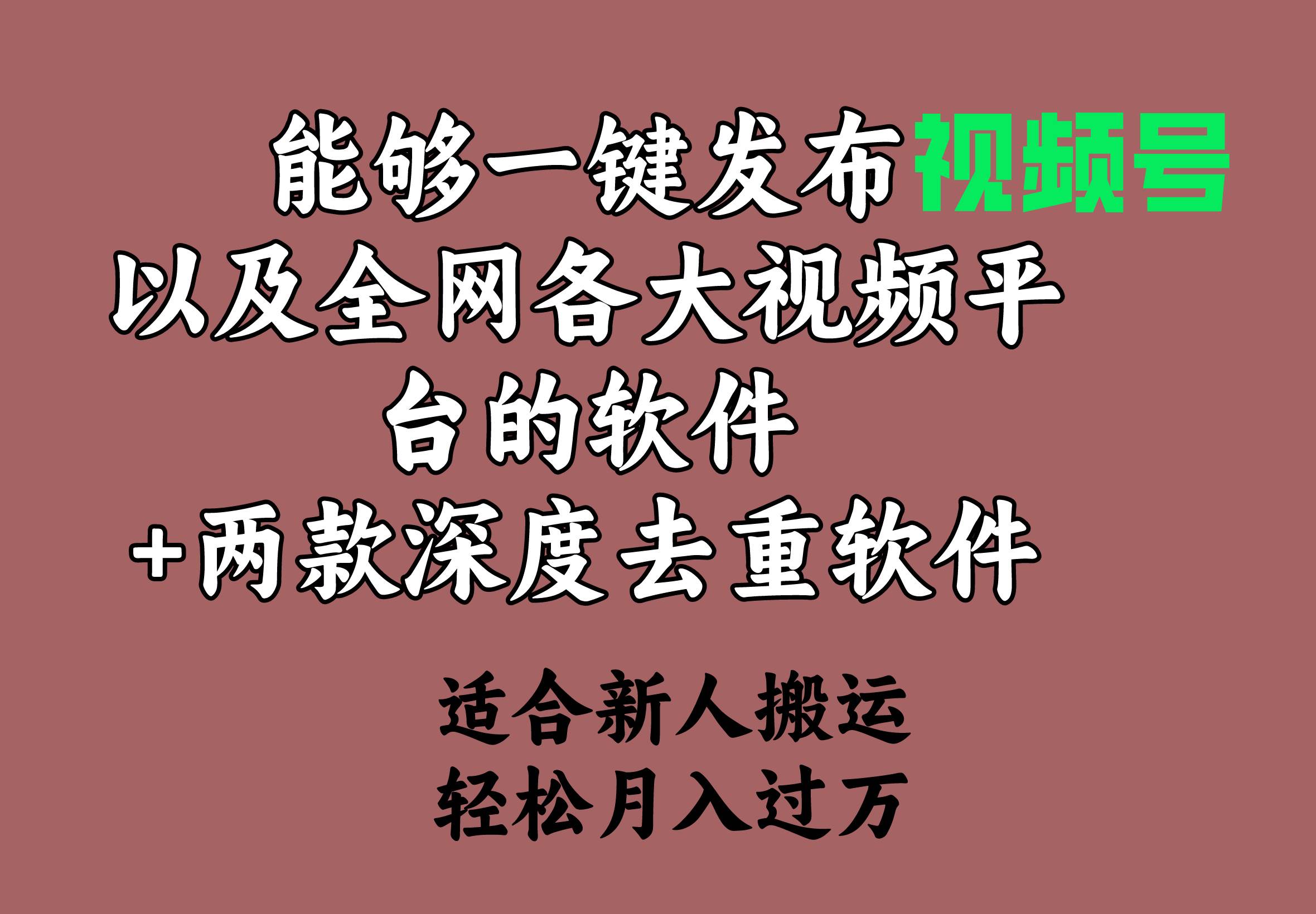 能够一键发布视频号以及全网各大视频平台的软件+两款深度去重软件 适合…-佐帆副业网