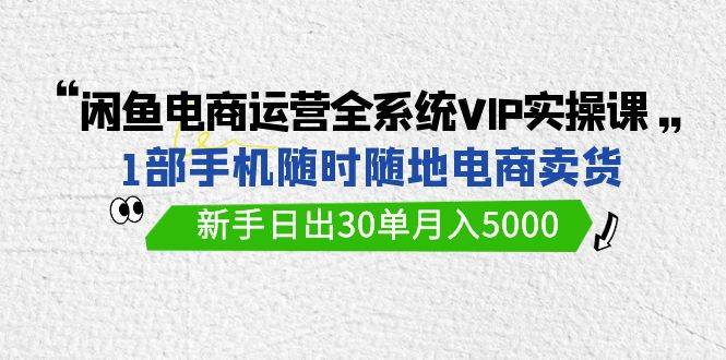 闲鱼电商运营全系统VIP实战课，1部手机随时随地卖货，新手日出30单月入5000-佐帆副业网