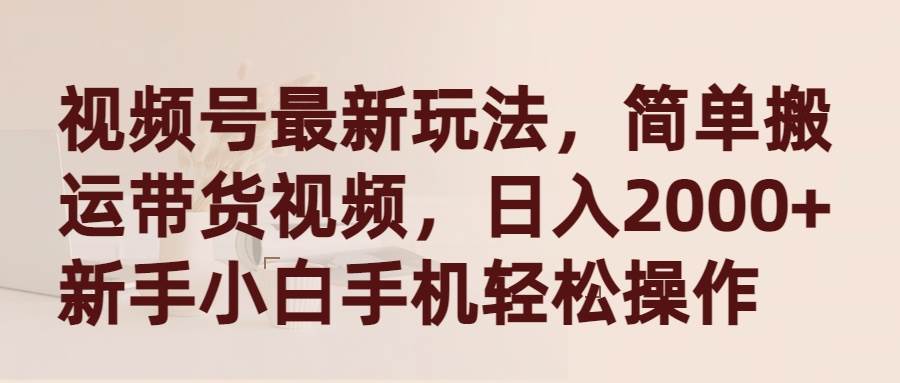 视频号最新玩法，简单搬运带货视频，日入2000+，新手小白手机轻松操作-佐帆副业网