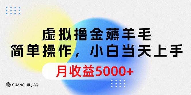 虚拟撸金薅羊毛，简单操作，小白当天上手，月收益5000+-佐帆副业网