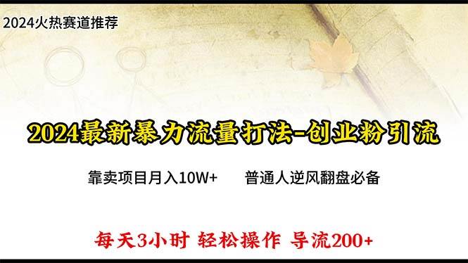 2024年最新暴力流量打法，每日导入300+，靠卖项目月入10W+-佐帆副业网