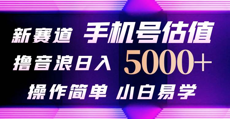 抖音不出境直播【手机号估值】最新撸音浪，日入5000+，简单易学，适合…-佐帆副业网