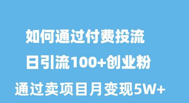 如何通过付费投流日引流100+创业粉月变现5W+-佐帆副业网