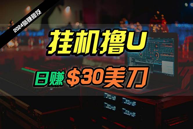 日赚30美刀，2024最新海外挂机撸U内部项目，全程无人值守，可批量放大-佐帆副业网