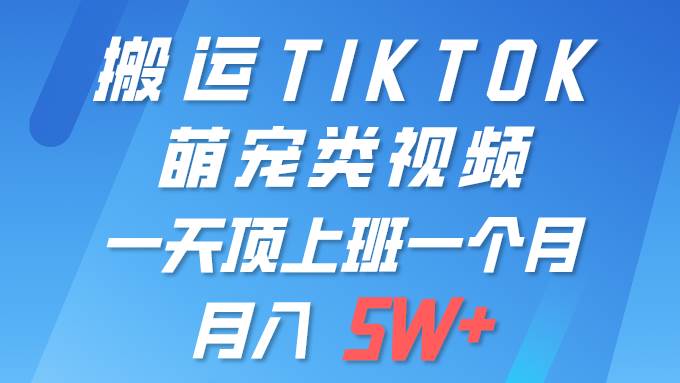 一键搬运TIKTOK萌宠类视频 一部手机即可操作 所有平台均可发布 轻松月入5W+-佐帆副业网