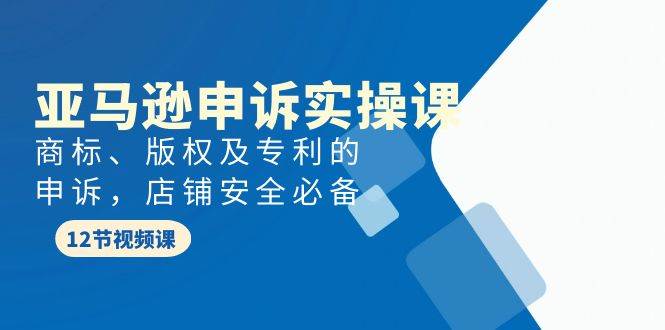 亚马逊-申诉实战课，商标、版权及专利的申诉，店铺安全必备-佐帆副业网