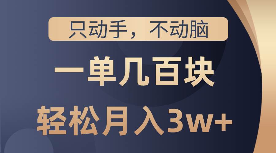 只动手不动脑，一单几百块，轻松月入3w+，看完就能直接操作，详细教程-佐帆副业网