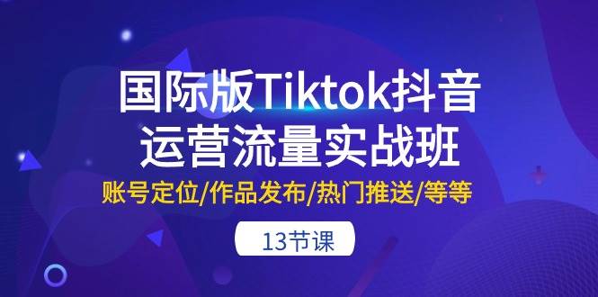 国际版Tiktok抖音运营流量实战班：账号定位/作品发布/热门推送/等等-13节-佐帆副业网