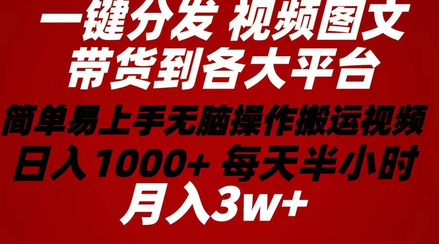 2024年 一键分发带货图文视频  简单易上手 无脑赚收益 每天半小时日入1…-佐帆副业网