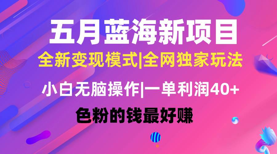 五月蓝海项目全新玩法，小白无脑操作，一天几分钟，矩阵操作，月入4万+-佐帆副业网