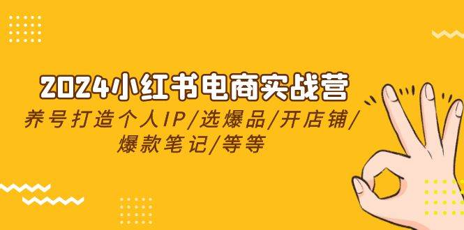 2024小红书电商实战营，养号打造IP/选爆品/开店铺/爆款笔记/等等（24节）-佐帆副业网