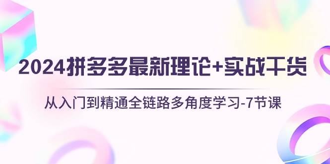 2024拼多多 最新理论+实战干货，从入门到精通全链路多角度学习-7节课-佐帆副业网