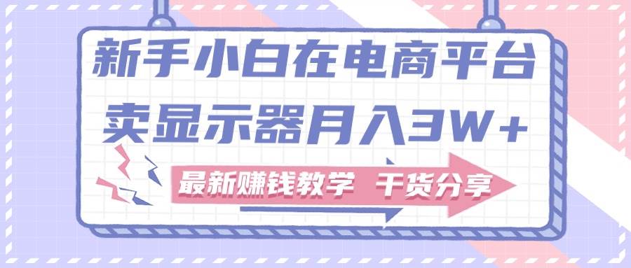 新手小白如何做到在电商平台卖显示器月入3W+，最新赚钱教学干货分享-佐帆副业网