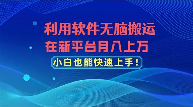 利用软件无脑搬运，在新平台月入上万，小白也能快速上手-佐帆副业网