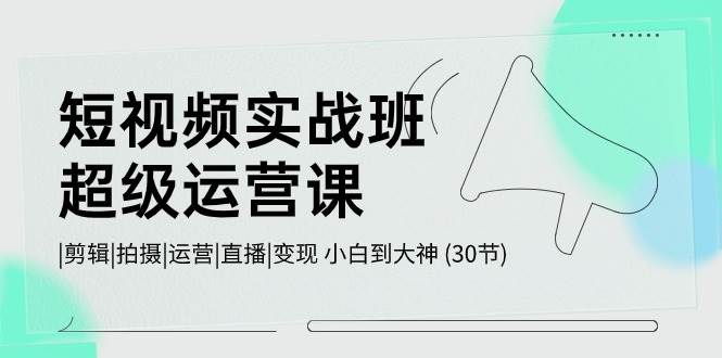 短视频实战班-超级运营课，|剪辑|拍摄|运营|直播|变现 小白到大神 (30节)-佐帆副业网