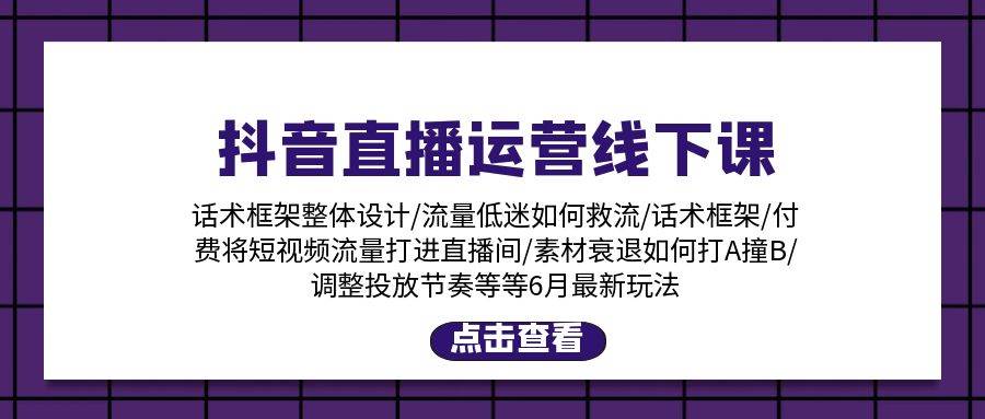 抖音直播运营线下课：话术框架/付费流量直播间/素材A撞B/等6月新玩法-佐帆副业网